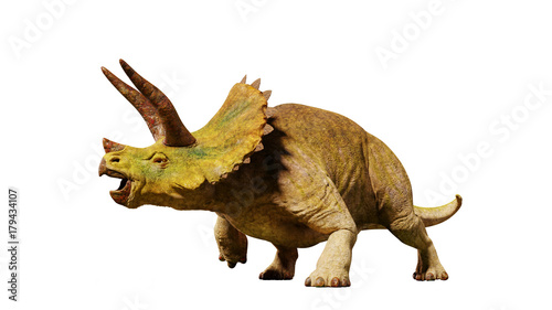 Naklejka Triceratops horridus dinozaur z epoki jurajskiej