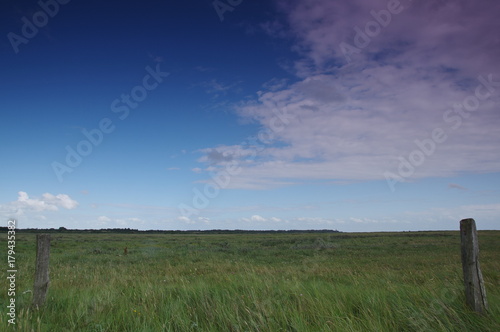 Green field and blue sky in St. Peter-Ording, Germany