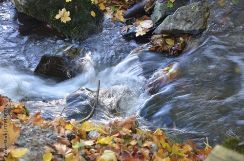 Kleiner Wasserfall - Zufluss - Stromschnellen im Herbst 