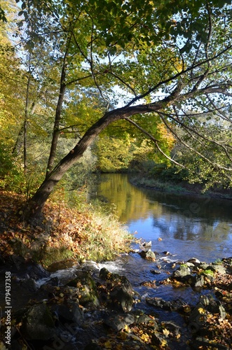Herbststimmung am Fluss