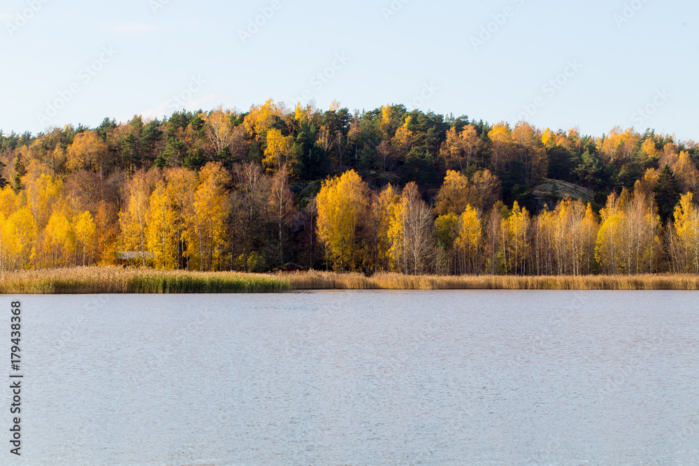 Morning by the lake in the fall. Autumn concept Morning by the lake in the fall. Autumn concept