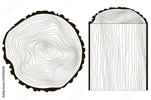 Saw cut tree trunk vector tree, annual rings monochrome stock vector illustration