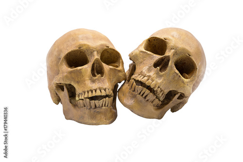 Pile of skulls on isolated white background with selective focus and clipping path.