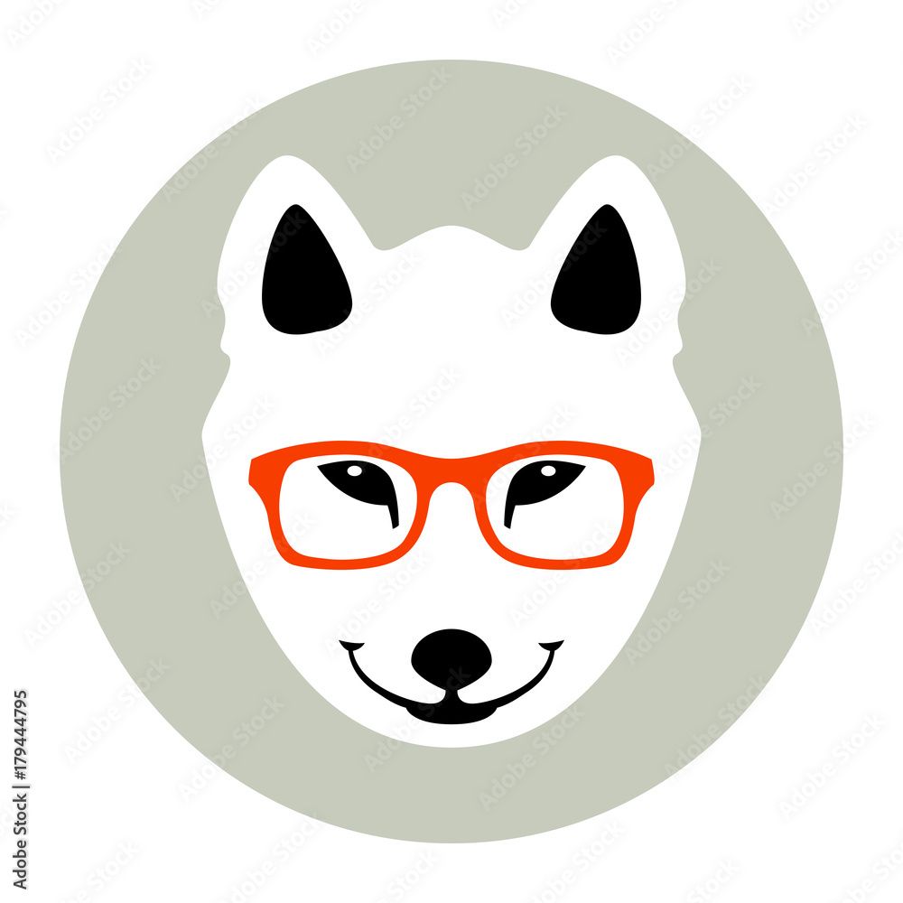 wolf face in glasses vector illustration flat style front wolf face in glasses vector illustration flat style front
