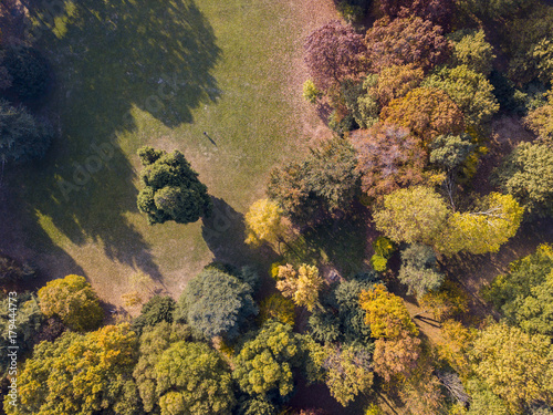 Natura e paesaggio  vista aerea di un parco  foliage di autunno  alberi foglie e prato  area verde  ecologia