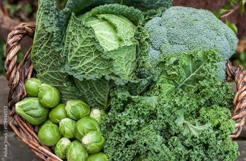 various green cabbages in basket outdoor on daylight