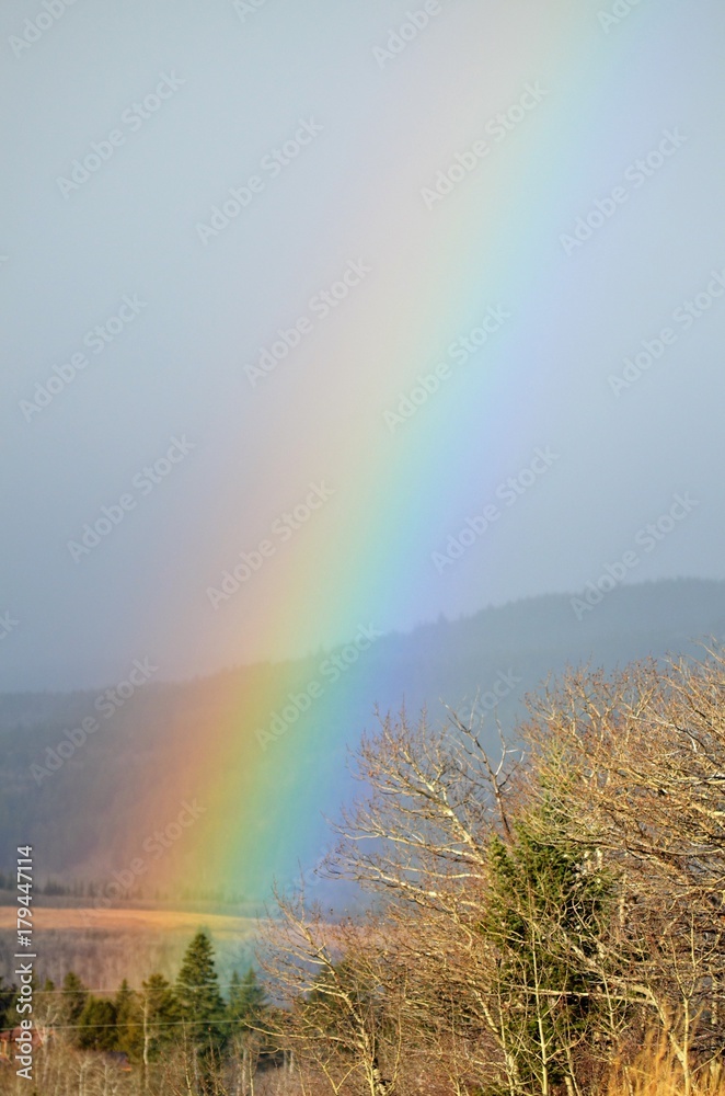 Here is the rainbow, now where is the pot of gold Here is the rainbow, now where is the pot of gold