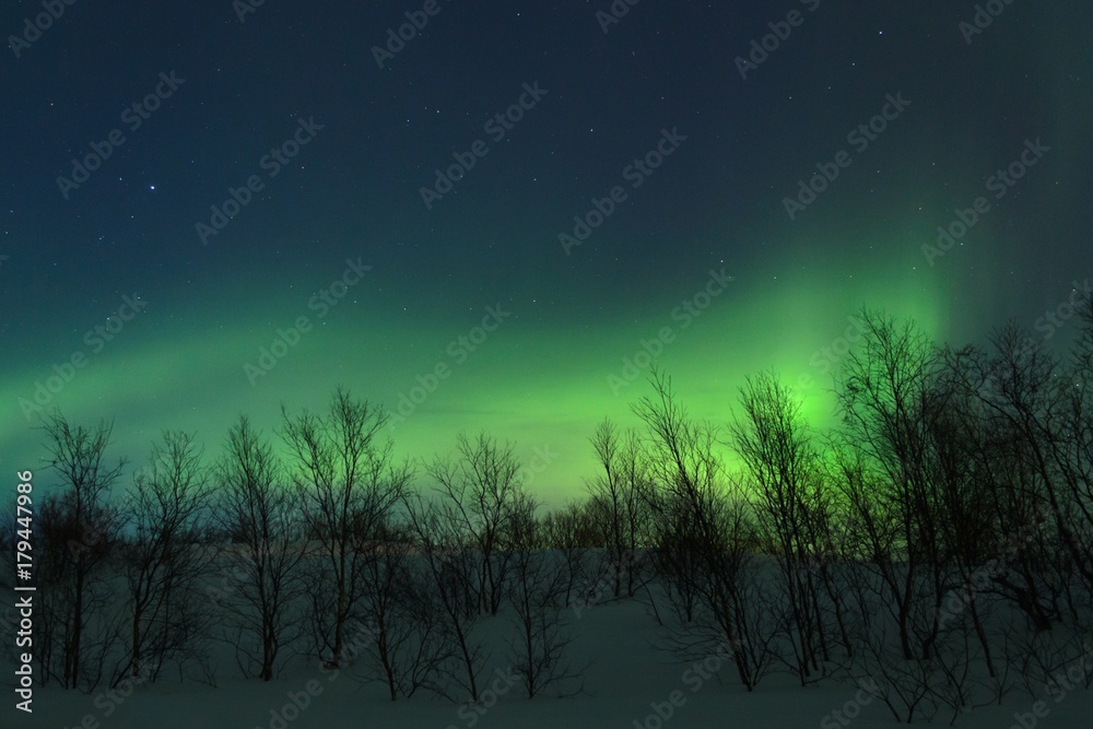 Ταπετσαρία The Northern lights ,Aurora the night over the hills and forest.