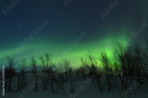 Fotografija The Northern lights ,Aurora the night over the hills and forest.