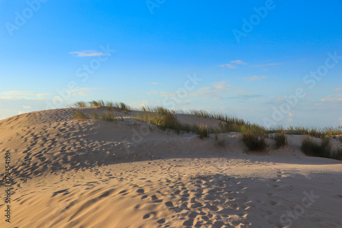sunny beach with sand dunes
