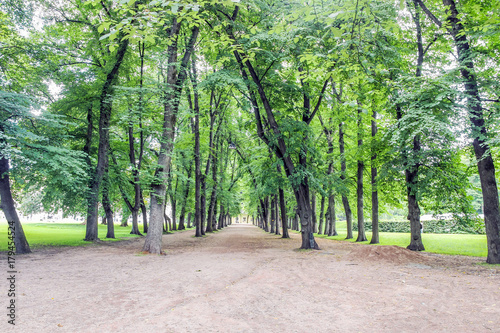 empty path with green trees at Humlegarden park in Stockholm 