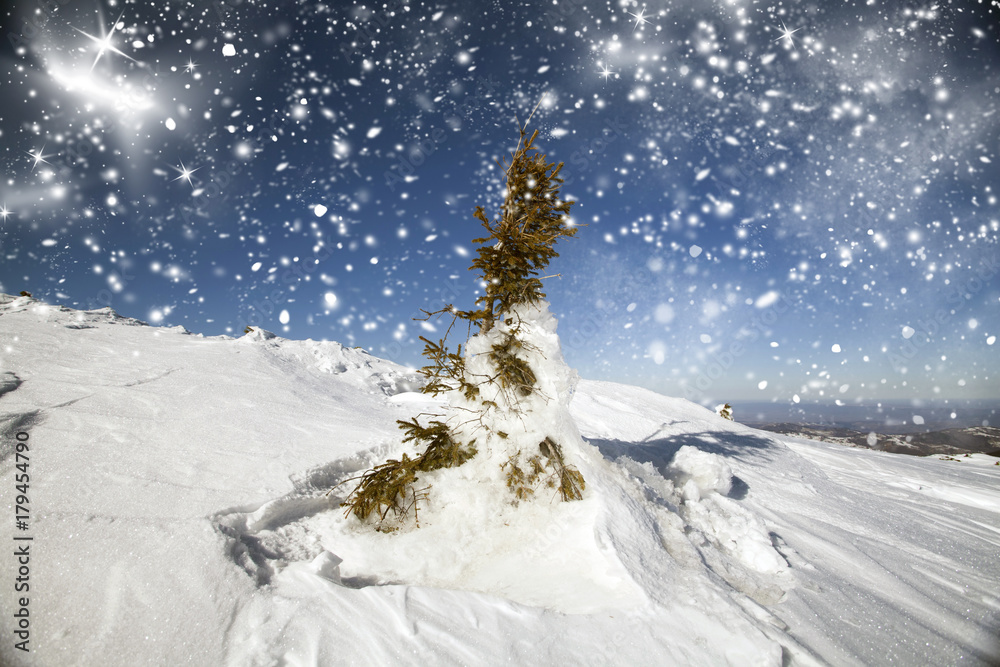 Fototapeta premium Snowy hilside in the mountains