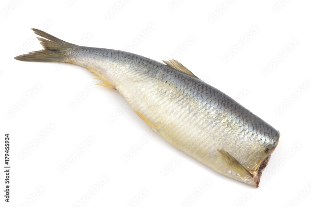 śledź śledź