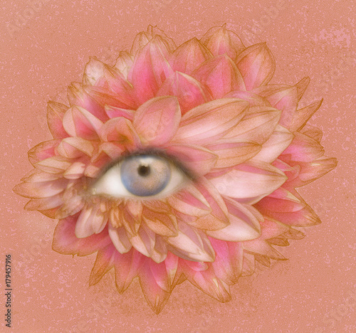 Eye of Petals photo