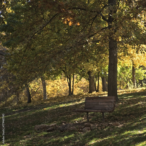 Park Bench with Fall Colors
