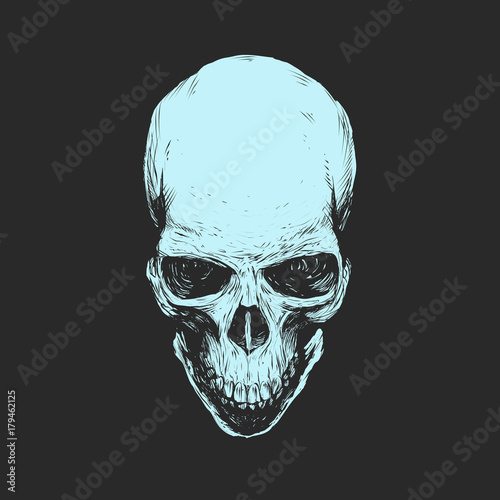 Skull. Vector stencil