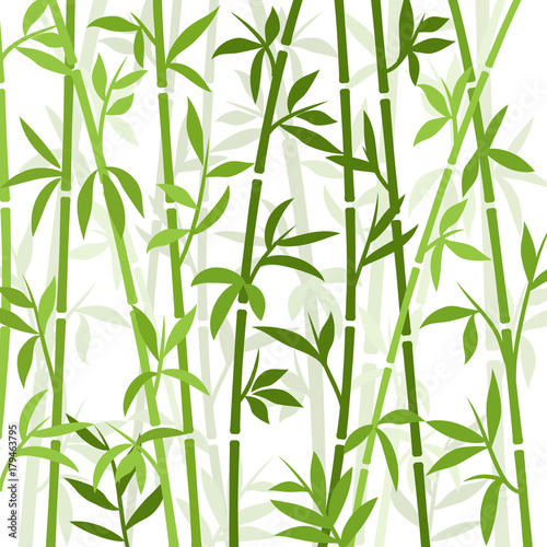 Naklejka Bambusowej tło japońskiej azjatykciej rośliny tapety trawa. Drzewo bambusowe wektor wzór