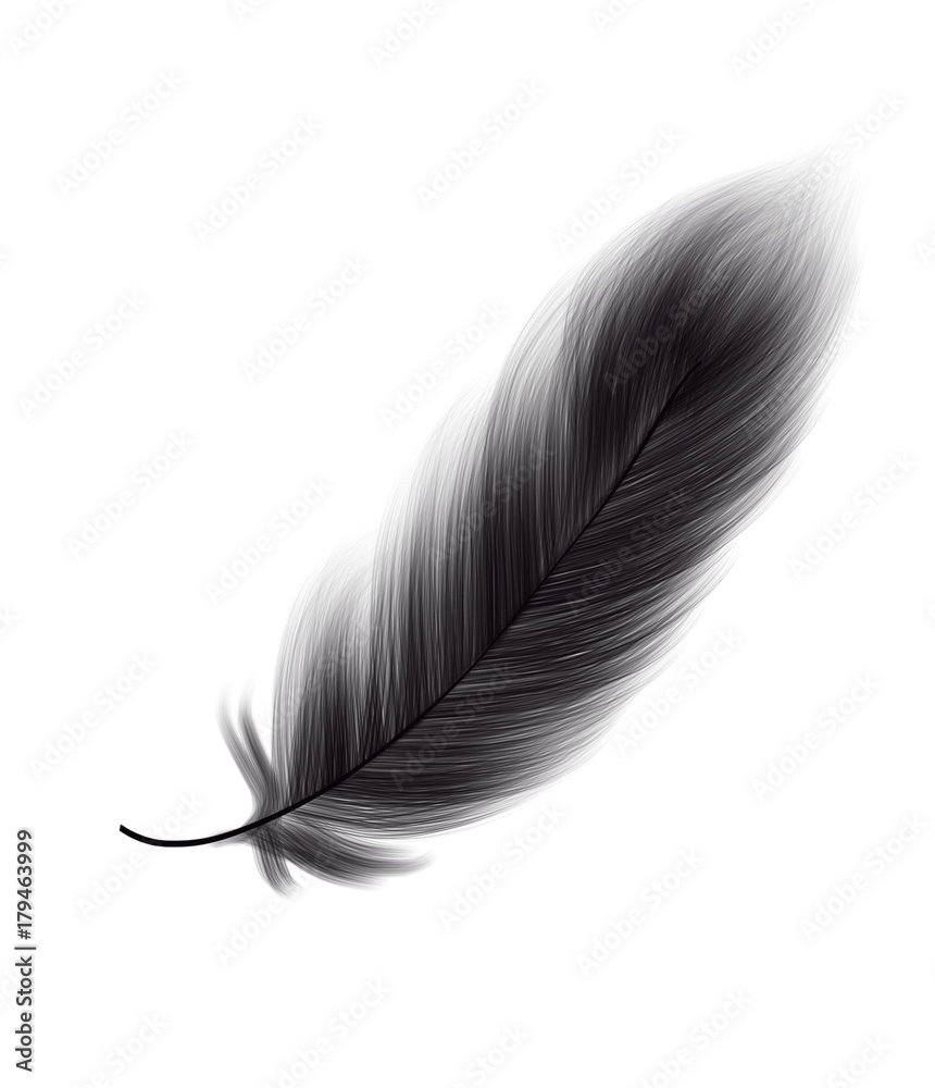 Hand drawn colorful black feather on white background, isolated