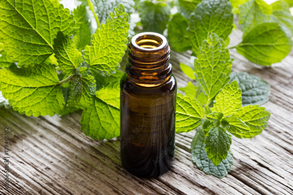 A bottle of melissa essential oil with fresh melissa leaves A bottle of melissa essential oil with fresh melissa leaves