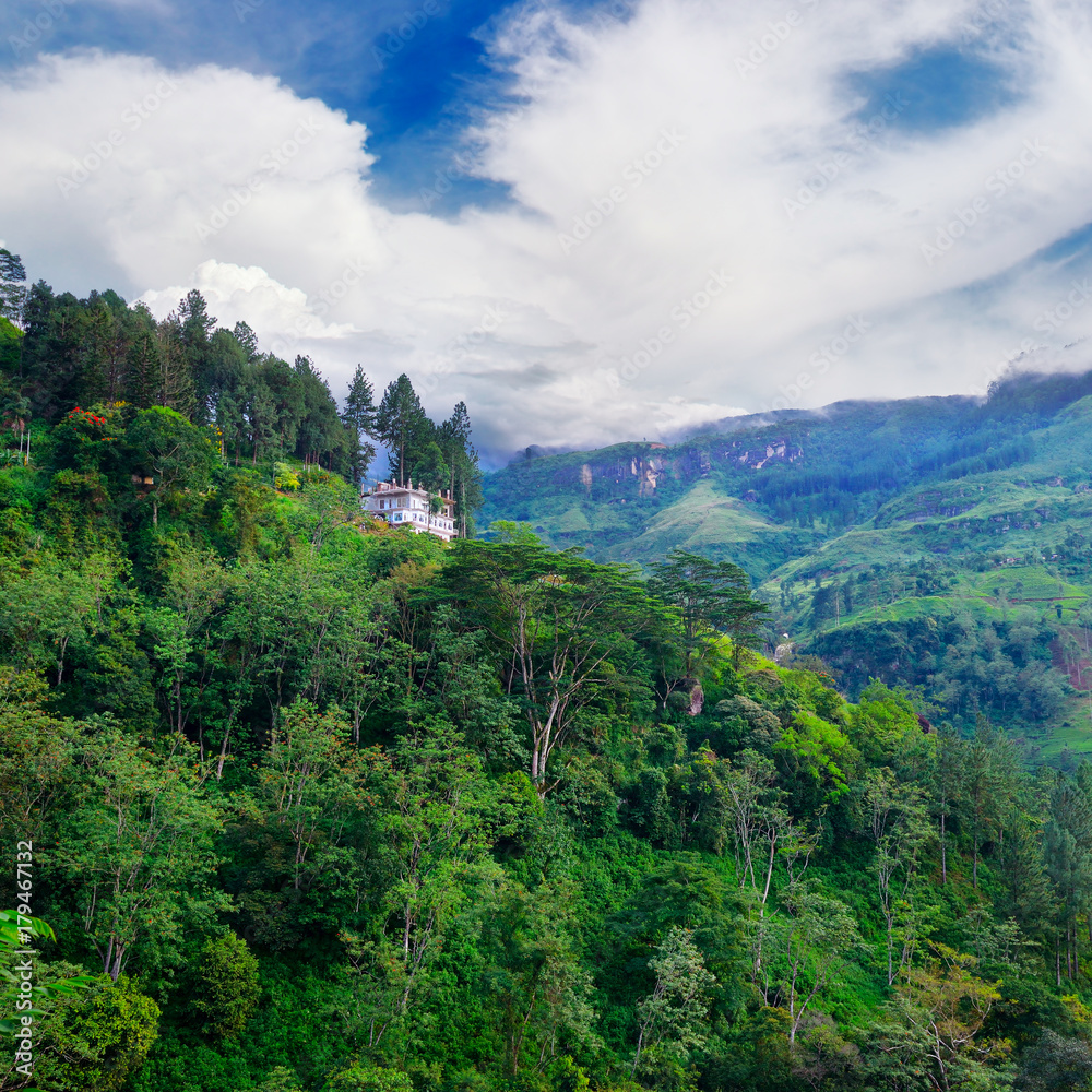 Mountain overgrown tropical forest in Sri Lanka.