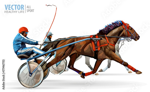 Jockey and horse. Two racing horses competing with each other. Race in harness with a sulky or racing bike. Vector illustration. photo