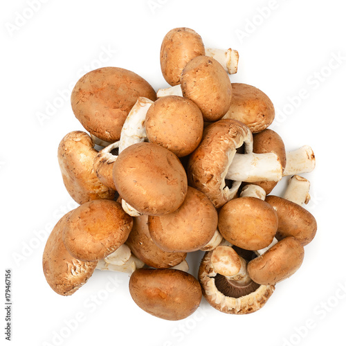 Collection champignon isolated on white background.