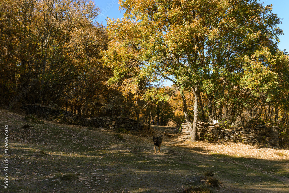 Naklejka premium La Hiruela de Madrid 04