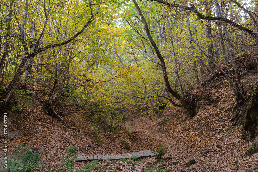 Naklejka premium La Hiruela 03