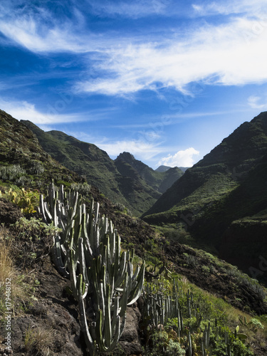 wandern auf Teneriffa photo