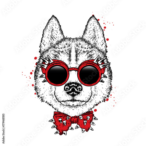 A beautiful dog with glasses and a bow tie. Vector illustration. Purebred puppy in clothes and accessories. Husky.