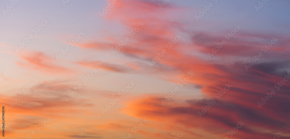 The panorama of  tiny or tender  sky texture or background