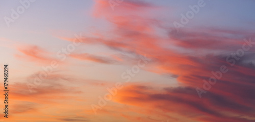 Fototapeta Naklejka Na Ścianę i Meble -  The panorama of  tiny or tender  sky texture or background