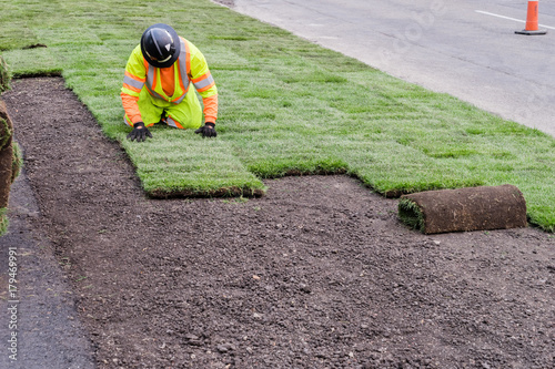 Landscaping sod installation work