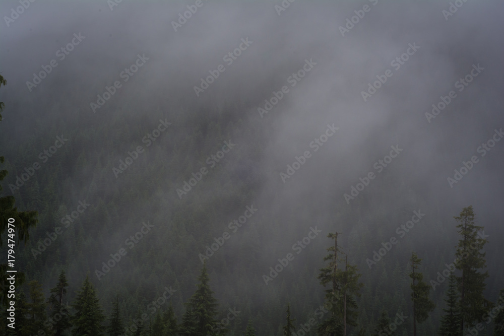 Crystal Mountain Ski Resort Spring Washington Fog