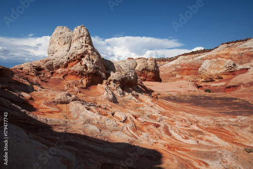  Plateau from white and red sandstone. White Pocket, Vermilion Cliffs National Monument, Arizona