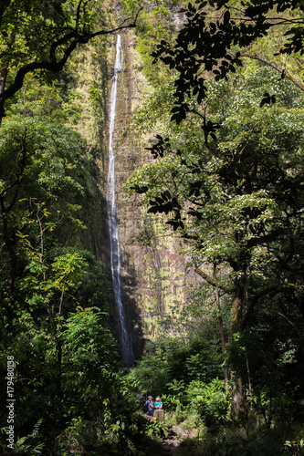 Maui waterfall and two person