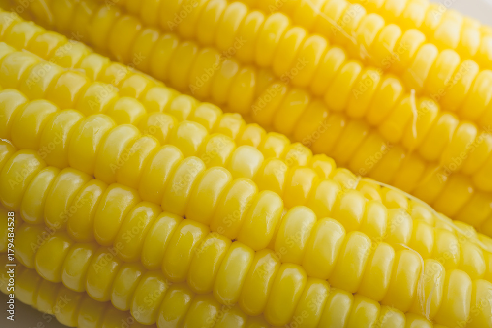 Close up Yellow Sweet corn in a rows. top view Close up Yellow Sweet corn in a rows. top view