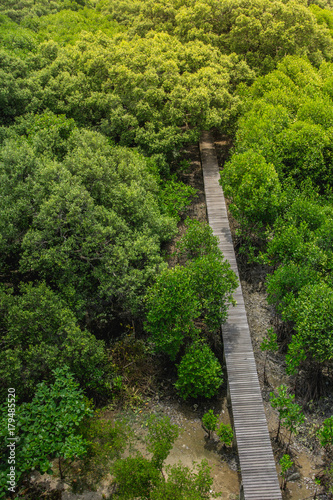 Wood floor with Bridge in the forest in mangrove forest. Top view