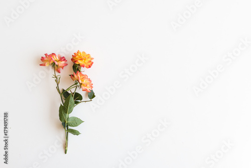 Directly above view of red, orange and yellow roses with copy space on white background