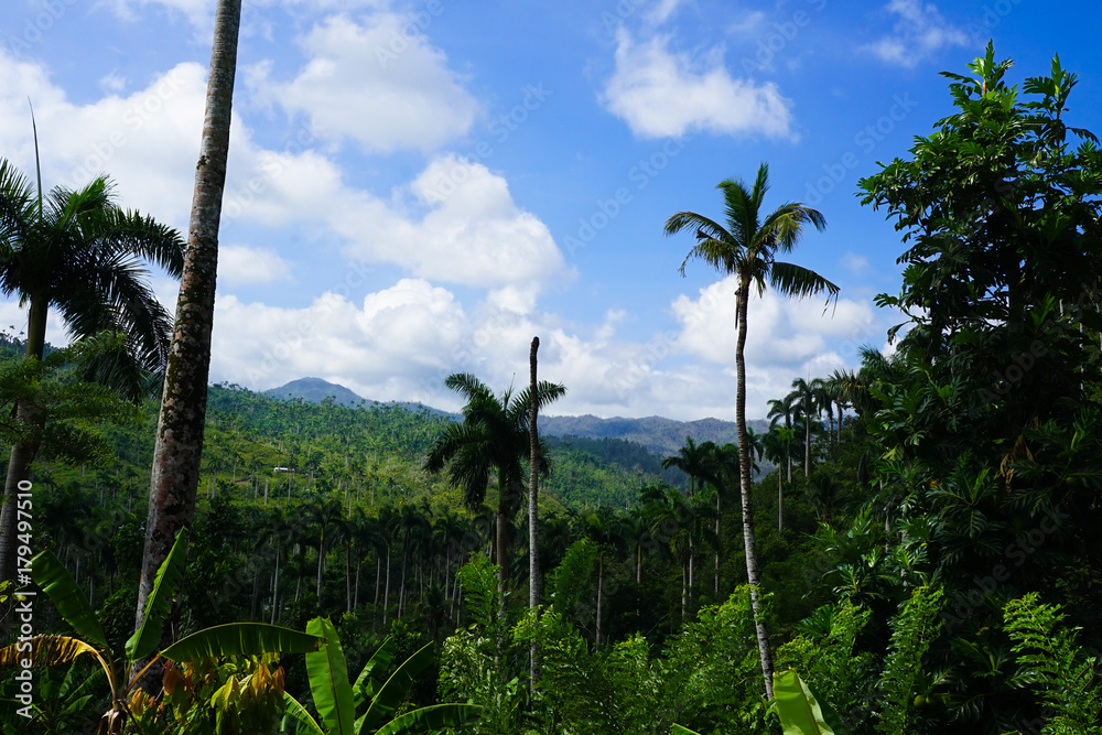 Fototapeta premium Baracoa Landscape, Cuba