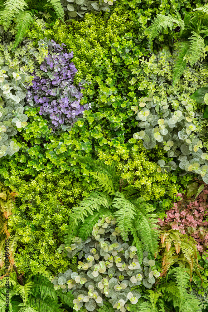 Vertical garden living flower and fern wall replica