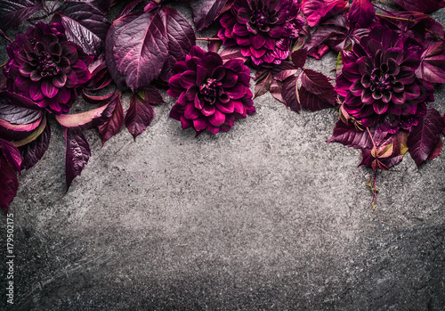 Dark purple floral border with flowers, petal and leaves on gray background, top view, place for text