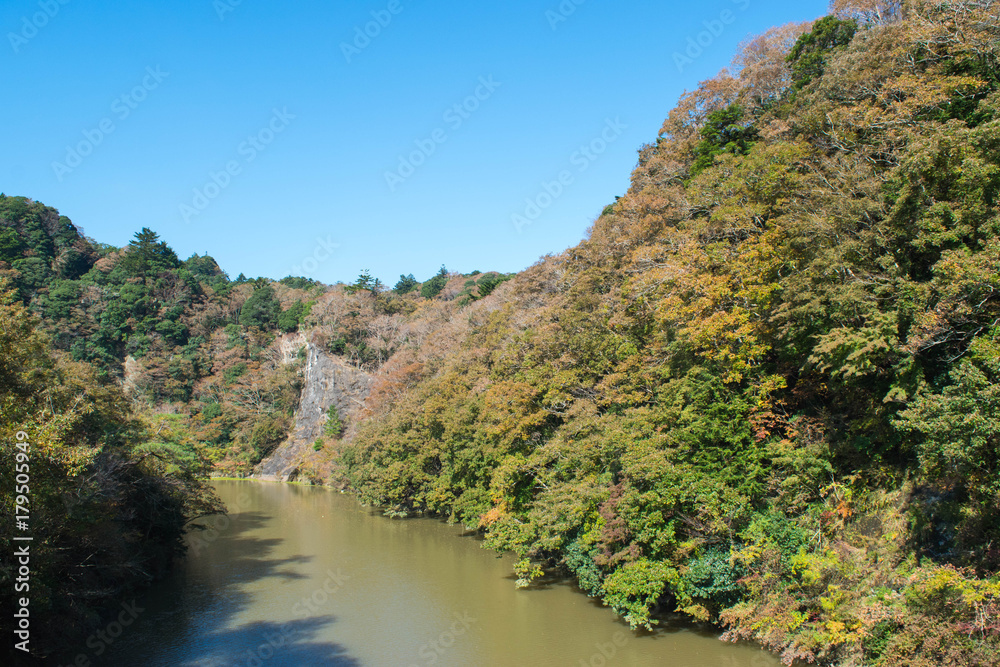 河畔の紅葉