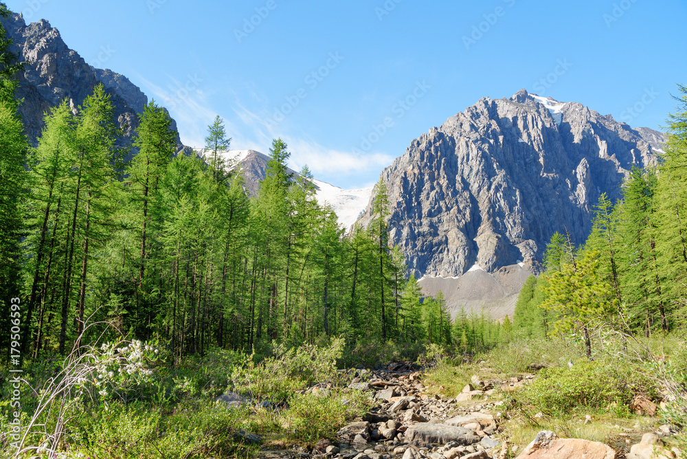 Obraz premium View Karatash peak and Aktru glacier. Altai Republic. Russia