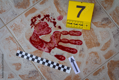The bloody trail of hand. Found at the crime scene