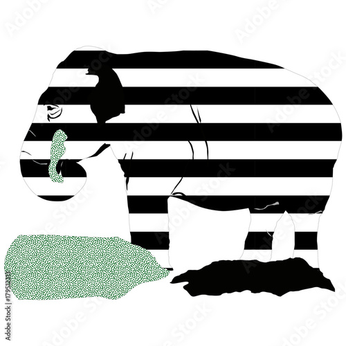 Elefant - Zebrafant