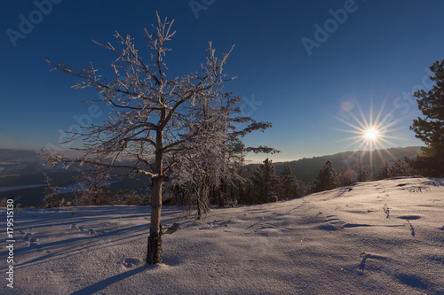 Idyllic winter scenery towards the setting sun