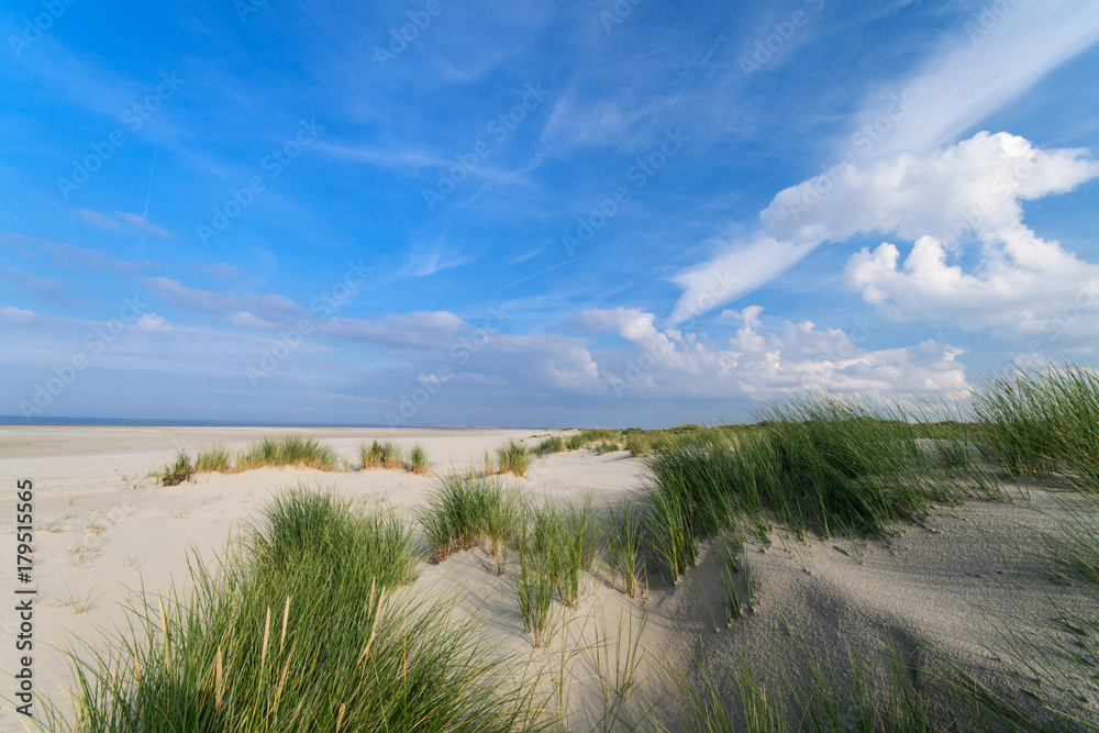 Nordsee, Strand auf Langenoog: Dünen, Meer, Entspannung, Ruhe, Erholung, Ferien, Urlaub, Glück, Freude,Meditation :) Nordsee, Strand auf Langenoog: Dünen, Meer, Entspannung, Ruhe, Erholung, Ferien, Urlaub, Glück, Freude,Meditation :)