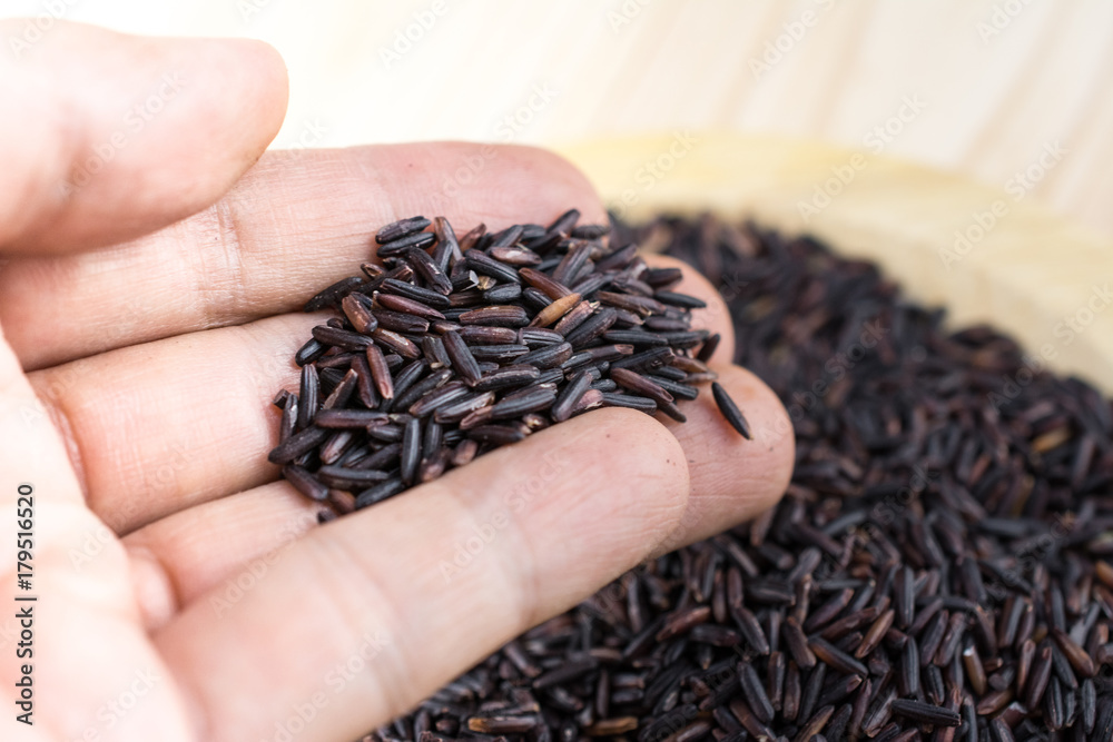 Close-up brown rice or riceberry organic food on hand healthy on wood texture Close-up brown rice or riceberry organic food on hand healthy on wood texture