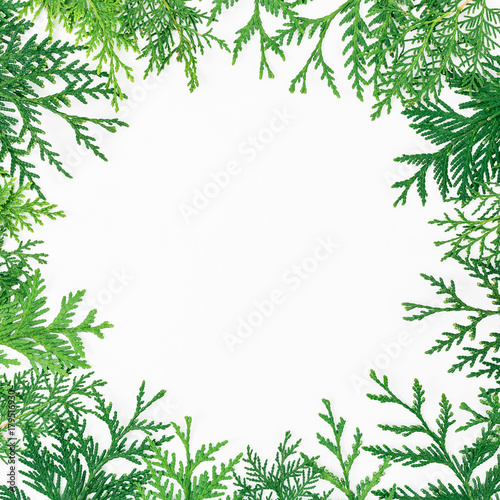 Christmas round frame of winter trees on white background. Christmas or New year concept. Flat lay  top view